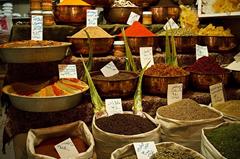 رحلات إلى لار