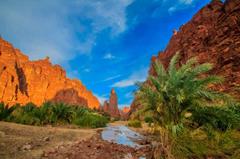 Flights to Tabuk Flights to Tabuk