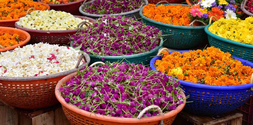 thiruvananthapuram-flowers-806x400