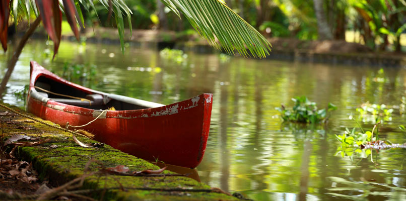 kochi-boat-on-the-river-806x400 kochi-boat-on-the-river-806x400