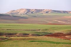 Рейсы в Мешхед